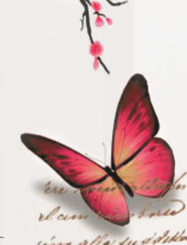 Schlaufenschal Butterfly fuchsia BxH 120x245cm